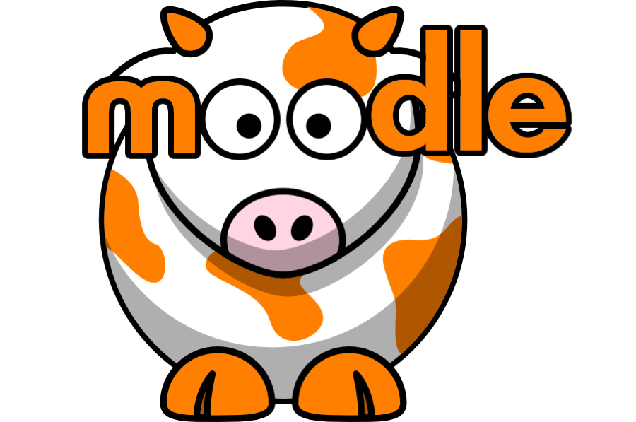 Moodle cow