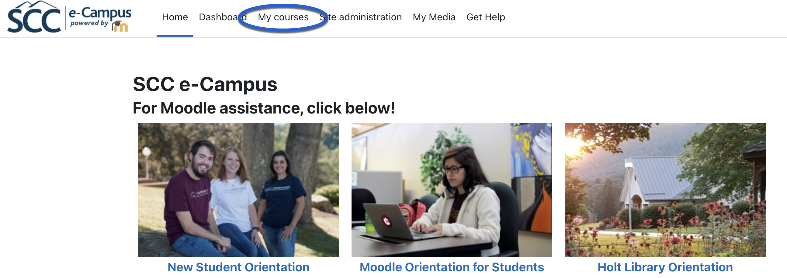 image of My Courses link