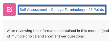 image example of a sample assignment - Self Assessment