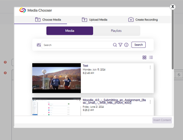 The media chooser with a sample YouTube video