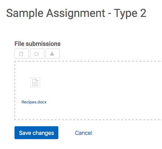 image example of a Sample Assignment with a file uploaded