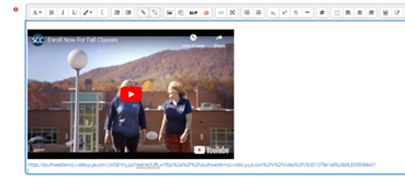 Embeded YouTube video