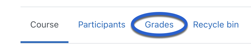 Image of Grades highlighted in blue
