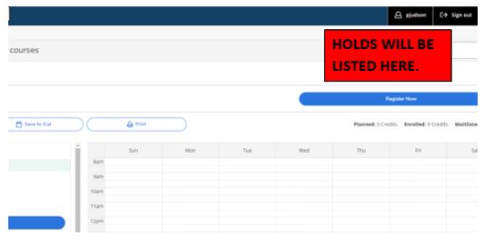 Image of HOLDS WILL BE LISTED HERE message"