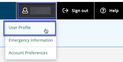 Image of User Profile