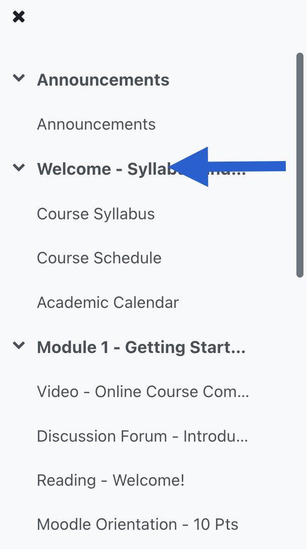 Image of the course menu with Welcome - Syllabus
