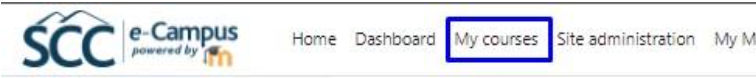 My courses