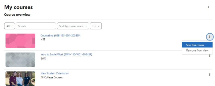 Dropdown/Menu