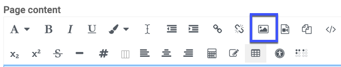 mage highlighting the image icon in blue