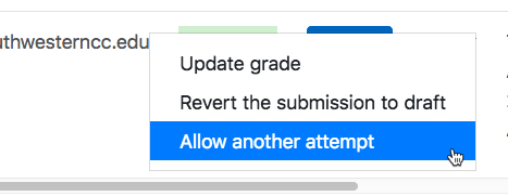 options drop-down, allow another attempt highlighted