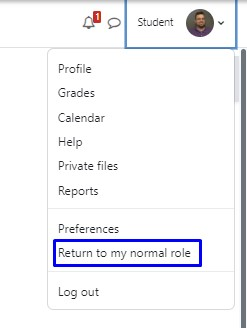 User icon drop-down with Return to my normal role highlighted.