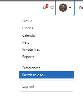User icon drop-down in Switch Role highlighted