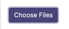image of choose files button outlined in blue